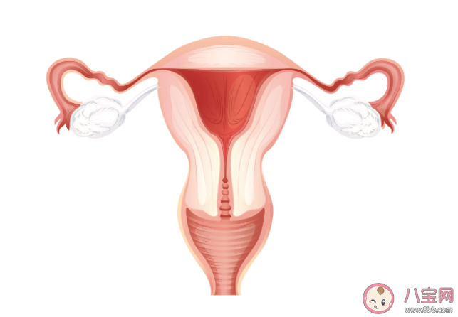 只要来月经就一定会排卵吗 有排卵输卵管是不是就是通的