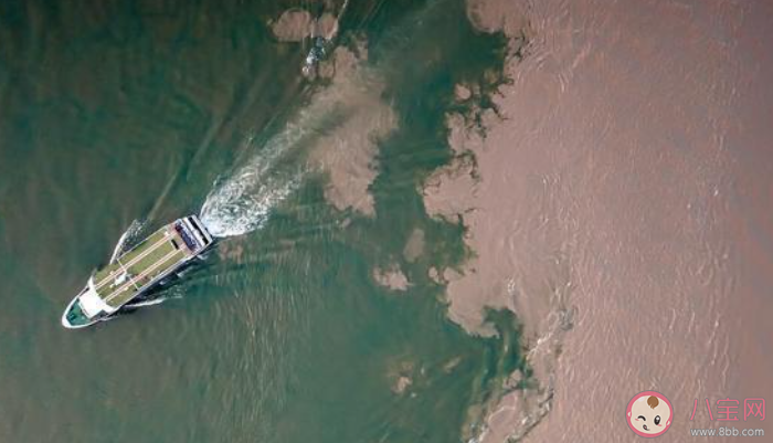 成语泾渭分明中的自然现象可以在哪里看到 蚂蚁庄园7月21日答案最新