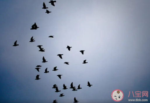 以下哪句诗是暑天的真实写照 蚂蚁庄园7月23日答案介绍