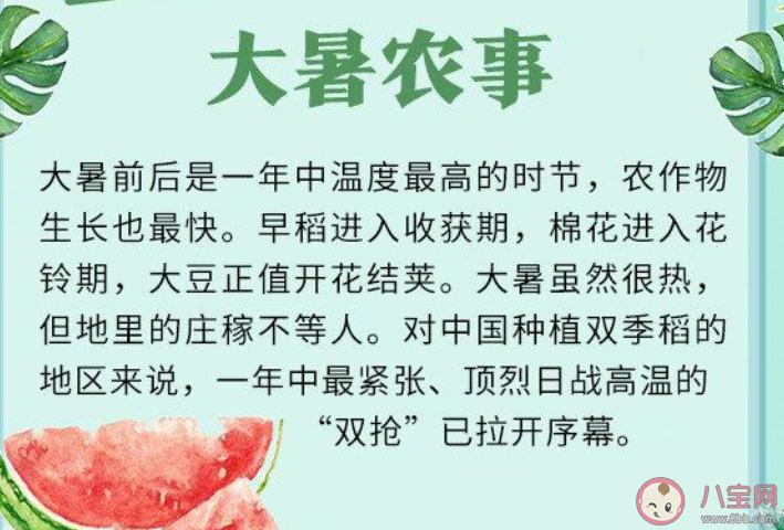 蚂蚁庄园夏季的最后一个节气是什么 小课堂7月23日答案最新 蚂蚁庄园夏季的最后一个节气是什么 小课堂7月23日答案最新