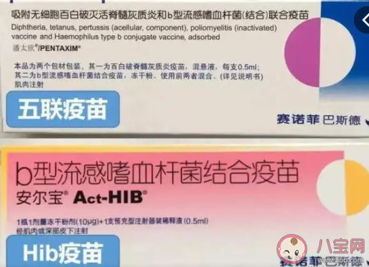 疫苗中的五联指的是什么 五联打完了还要补脊灰和白破吗 疫苗中的五联指的是什么 五联打完了还要补脊灰和白破吗