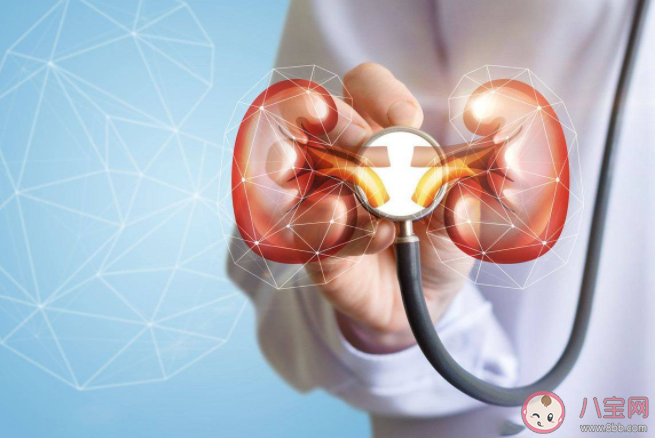 夏季为什么尿路结石高发 尿路结石如何预防 夏季为什么尿路结石高发 尿路结石如何预防