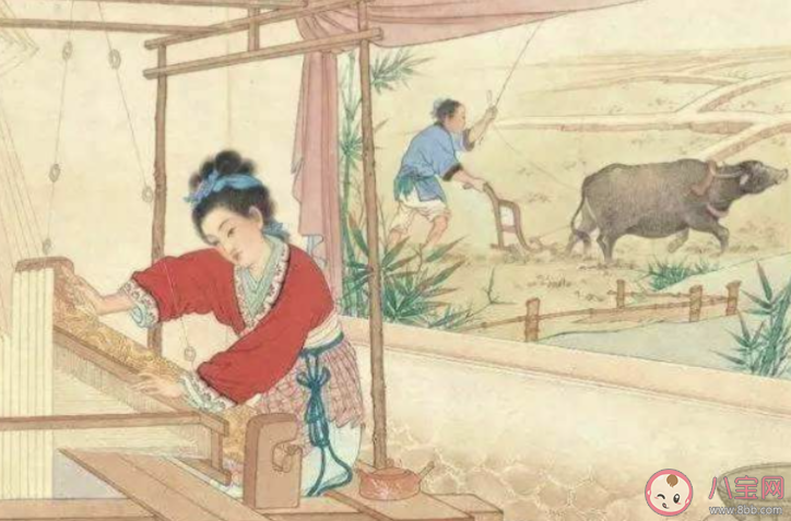 《诗经》中的七月流火指的是 蚂蚁庄园7月26日答案介绍 《诗经》中的七月流火指的是 蚂蚁庄园7月26日答案介绍