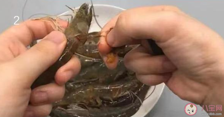 虾线实际上是虾的什么 蚂蚁庄园7月26日答案最新 虾线实际上是虾的什么 蚂蚁庄园7月26日答案最新