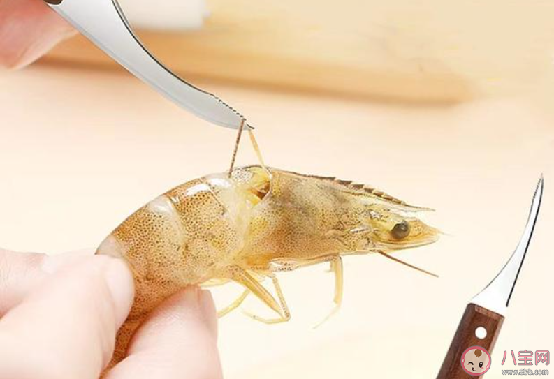 虾线实际上是虾的什么 蚂蚁庄园7月26日答案最新 虾线实际上是虾的什么 蚂蚁庄园7月26日答案最新