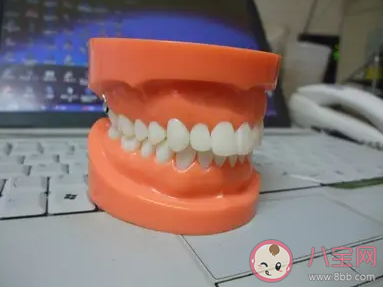 年纪大了牙齿会自然掉光吗 蚂蚁庄园7月27日答案最新 年纪大了牙齿会自然掉光吗 蚂蚁庄园7月27日答案最新