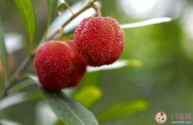 望梅止渴和耳濡目染哪个成语表示的是条件反射 蚂蚁庄园7月27日答案 望梅止渴和耳濡目染哪个成语表示的是条件反射 蚂蚁庄园7月27日答案