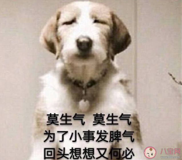 生气的4个好处你知道吗 女生为什么不能经常生气 生气的4个好处你知道吗 女生为什么不能经常生气