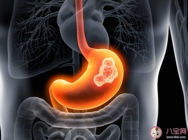 戊肝的高危人群有哪些 戊肝病毒有什么特点