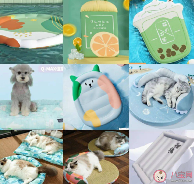 高温天该如何给宠物消暑 夏天该怎样照顾宠物 高温天该如何给宠物消暑 夏天该怎样照顾宠物