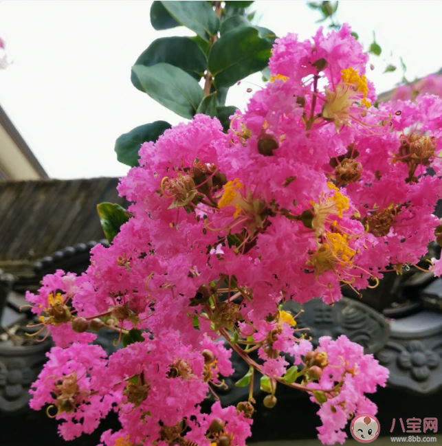 为什么夏天容易睡不好 夏天睡不好怎么办
