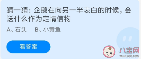 蚂蚁庄园企鹅在向另一半表白的时候会送什么作为定情信物 8月4日答案解析