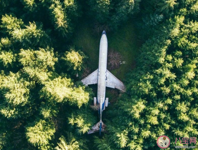 分享欲在感情里占比高吗 感情中分享欲重要吗
