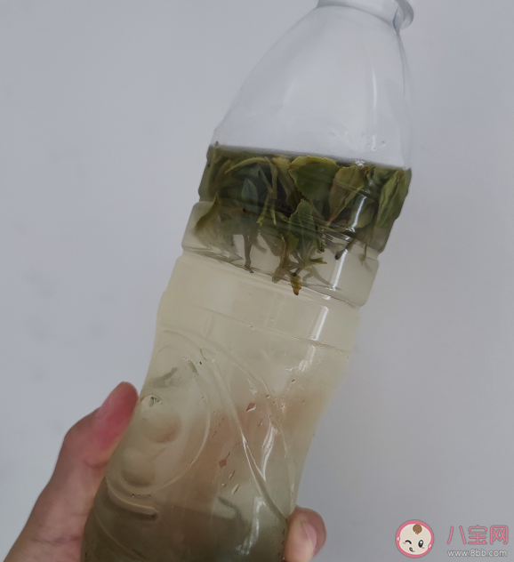 冷泡茶有什么特别的地方 常见的几种冷泡方式