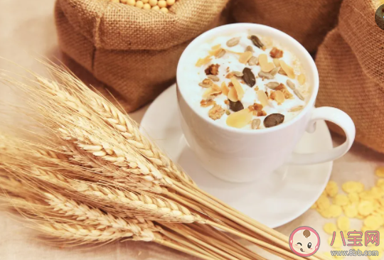 燕麦是一种什么样的食物 燕麦与小麦相比哪种更健康