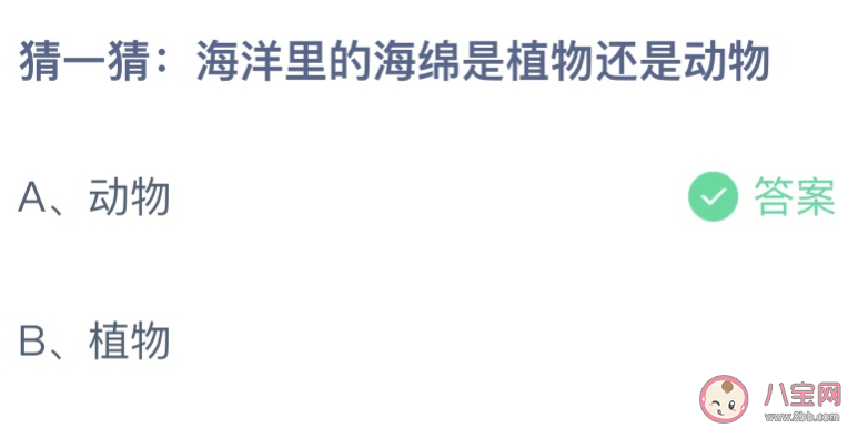 蚂蚁庄园海绵是植物还是动物 小课堂8月11日答案介绍