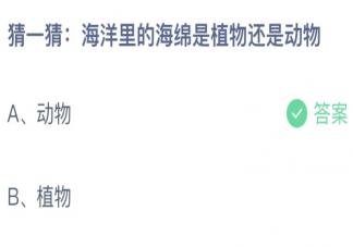 蚂蚁庄园海绵是植物还是动物 小课堂8月11日答案介绍