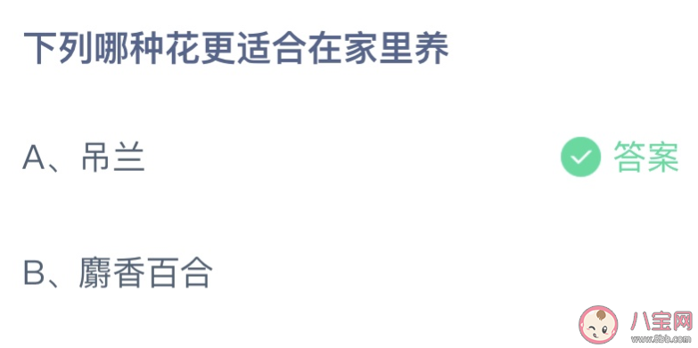 下列哪种花更适合在家里养 蚂蚁庄园8月19日答案最新