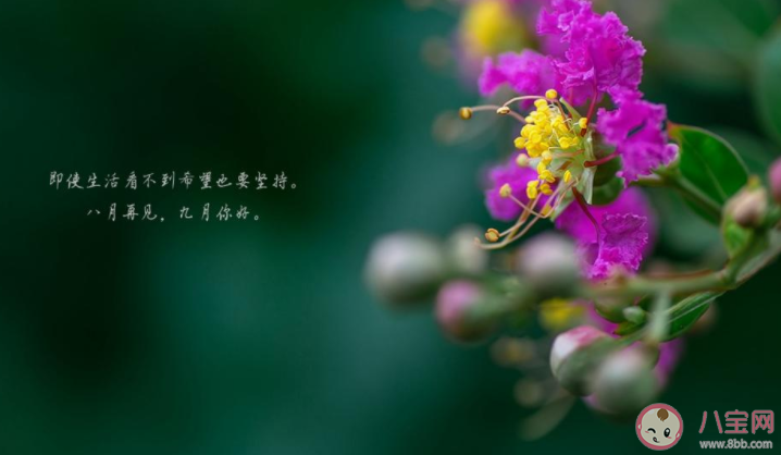 2022想和八月说再见的朋友圈说说 2022八月再见的心情语录句子