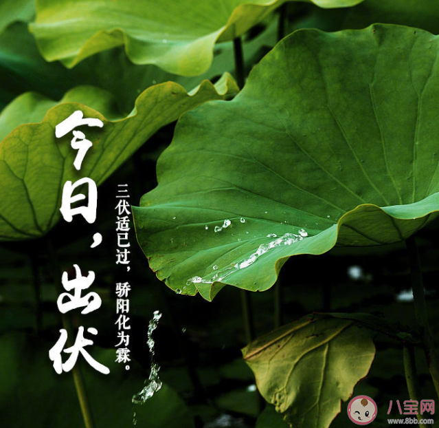 三伏结束了的朋友圈心情句子 三伏结束了的感受说说 三伏结束了的朋友圈心情句子 三伏结束了的感受说说