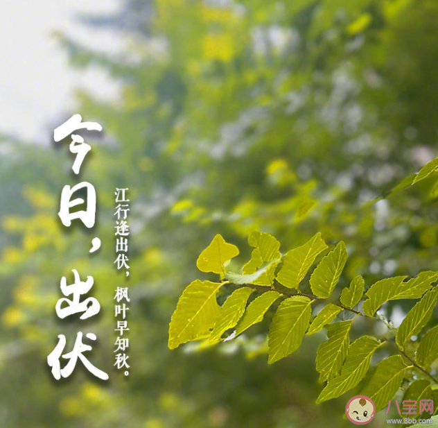 三伏结束了的朋友圈心情句子 三伏结束了的感受说说 三伏结束了的朋友圈心情句子 三伏结束了的感受说说