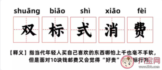 年轻人双标式消费是什么意思 如何看待这种消费观念