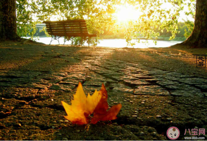 秋老虎每年都会出现吗 秋老虎要注意什么