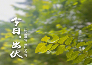 三伏结束了的朋友圈心情句子 三伏结束了的感受说说