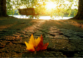 秋老虎每年都会出现吗 秋老虎要注意什么