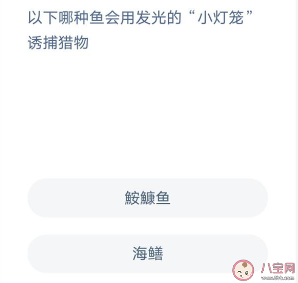 鮟鱇鱼和海鳝哪种鱼会用发光的小灯笼诱捕猎物 蚂蚁森林8月26日答案