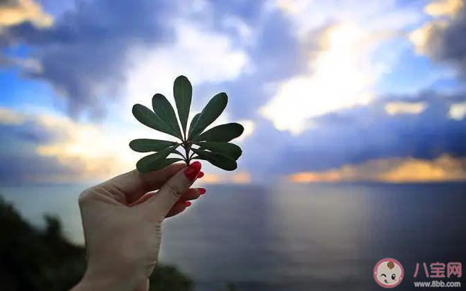 对你来说怎样才是最好的生活 你向往的生活是怎么样的 对你来说怎样才是最好的生活 你向往的生活是怎么样的