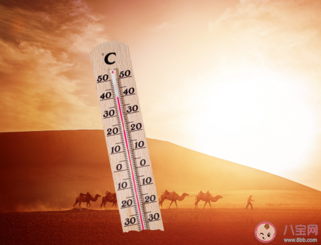 今年夏天是未来10年最凉爽的吗 如何面对更热的夏天