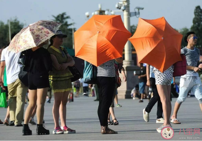今年夏天是未来10年最凉爽的吗 如何面对更热的夏天