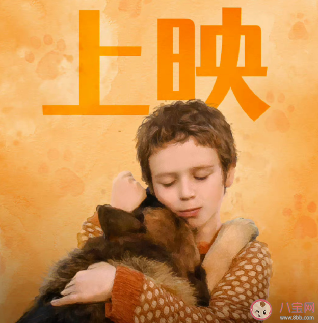 电影《忠犬帕尔玛》的原型是谁 《忠犬帕尔玛》是真实故事改编的吗