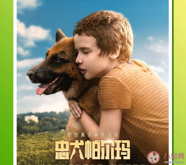 电影《忠犬帕尔玛》的原型是谁 《忠犬帕尔玛》是真实故事改编的吗