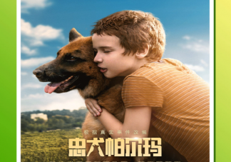 电影《忠犬帕尔玛》的原型是谁 《忠犬帕尔玛》是真实故事改编的吗