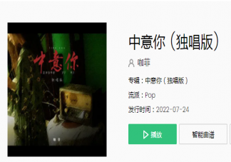 你没有打火机却能点亮我的心是什么歌 《中意你》完整版歌词在线听歌