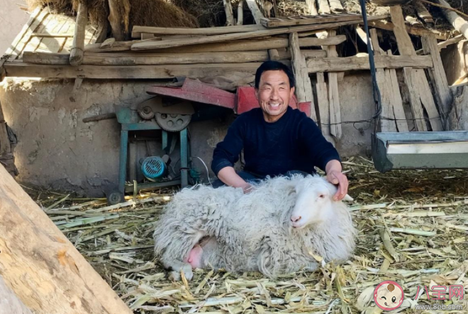 电影《隐入尘烟》马有铁结局死了吗 为什么没人救贵英
