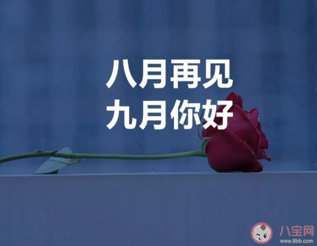 八月再见九月你好图片美文2022 八月再见九月你好温柔短句文案 八月再见九月你好图片美文2022 八月再见九月你好温柔短句文案