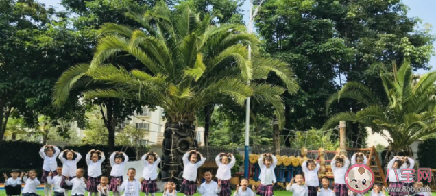 2022幼儿园秋季开学典礼活动报道美篇 2022幼儿园秋季开学典礼新闻稿 2022幼儿园秋季开学典礼活动报道美篇 2022幼儿园秋季开学典礼新闻稿