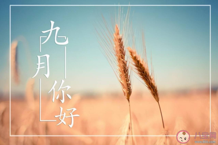 关于九月你好的朋友圈文案句子 九月你好的唯美说说 关于九月你好的朋友圈文案句子 九月你好的唯美说说