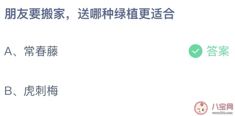 朋友要搬家送常春藤还是虎刺梅更合适 蚂蚁庄园8月31日答案最新