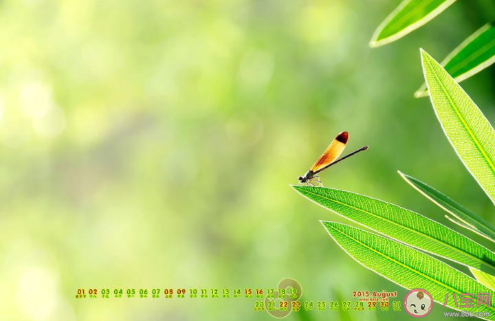 8月最后一天最新文案朋友圈说说 8月再见9月你好的心情句子 8月最后一天最新文案朋友圈说说 8月再见9月你好的心情句子