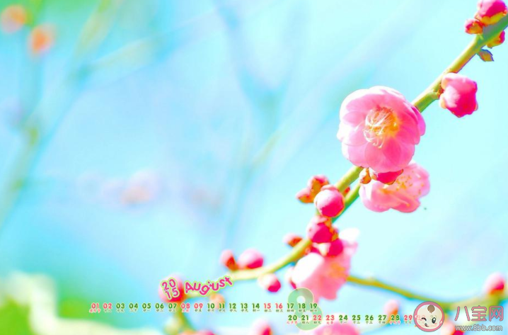 8月最后一天最新文案朋友圈说说 8月再见9月你好的心情句子 8月最后一天最新文案朋友圈说说 8月再见9月你好的心情句子