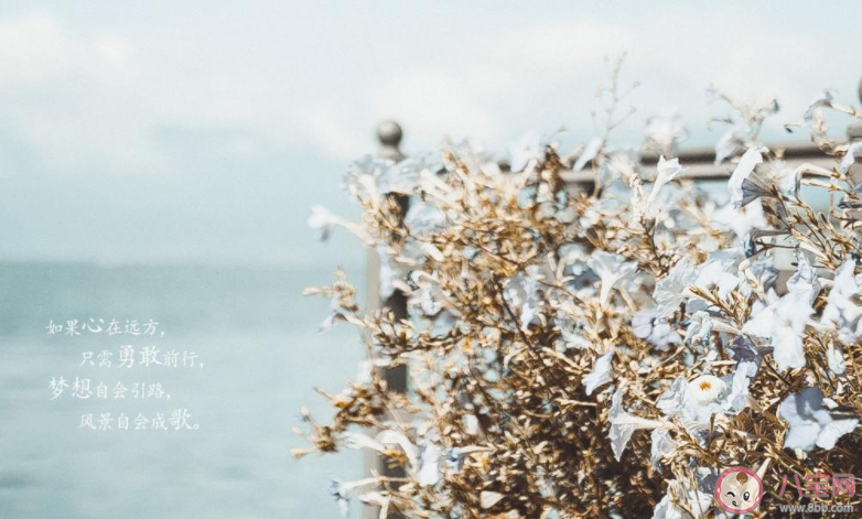 2022告别8月迎接9月的正能量文案大全 8月结束9月开始的一句话说说 2022告别8月迎接9月的正能量文案大全 8月结束9月开始的一句话说说