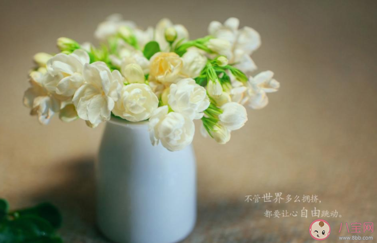 2022告别8月迎接9月的正能量文案大全 8月结束9月开始的一句话说说 2022告别8月迎接9月的正能量文案大全 8月结束9月开始的一句话说说