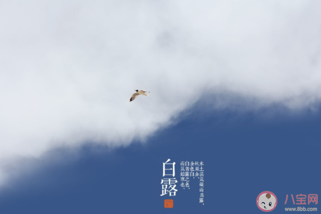 白露有三怕指的是什么 白露十样白是什么意思 白露有三怕指的是什么 白露十样白是什么意思
