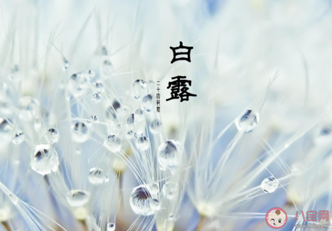 白露有三怕指的是什么 白露十样白是什么意思 白露有三怕指的是什么 白露十样白是什么意思