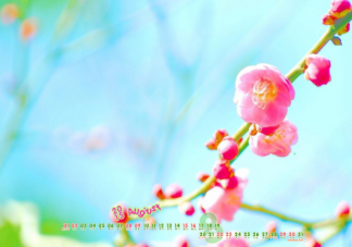 8月最后一天最新文案朋友圈说说 8月再见9月你好的心情句子