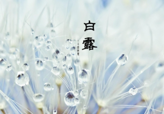 白露有三怕指的是什么 白露十样白是什么意思